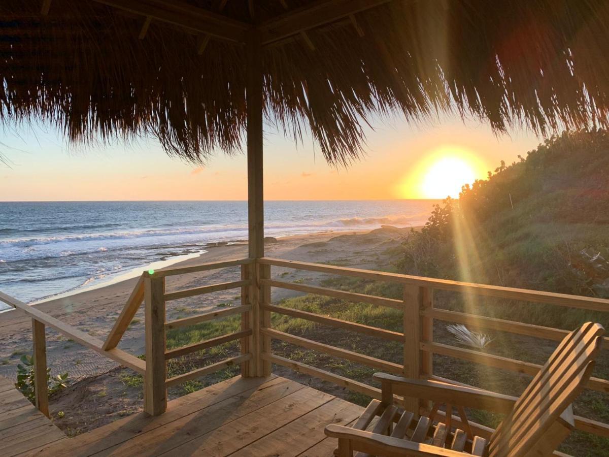 Casa de férias Turtles Nest *