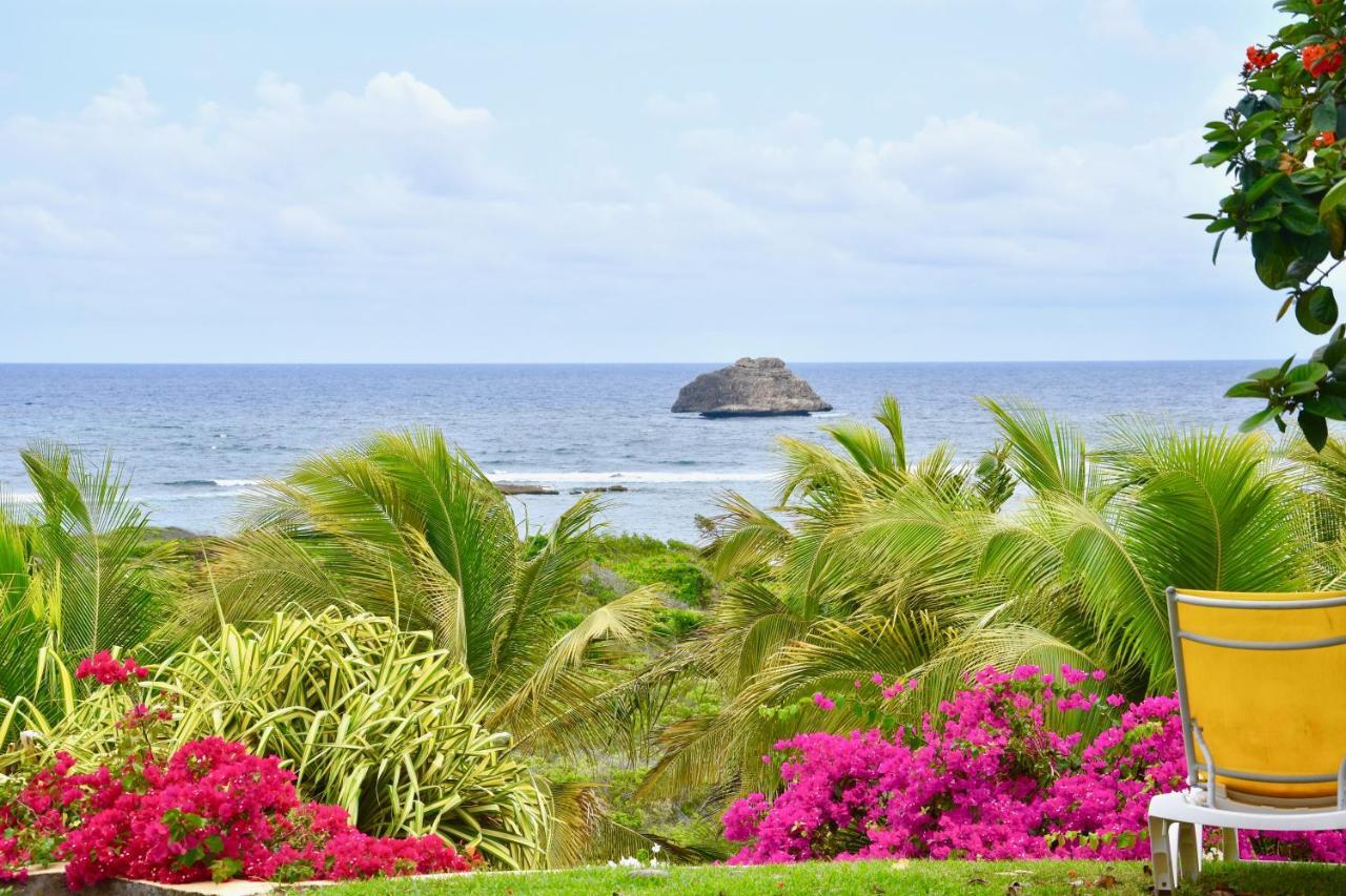Villa Guadeloupe Francois Acces Piscine Iguana Bay - Zagadi