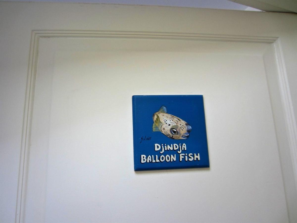 Den Laman - Balloonfish Playa