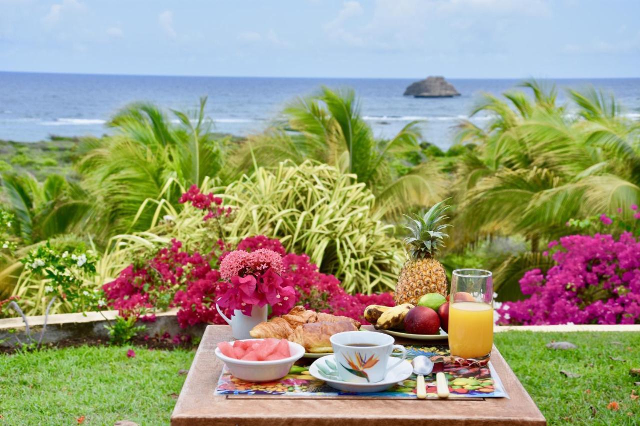 Villa Guadeloupe Francois Acces Piscine Iguana Bay - Zagadi