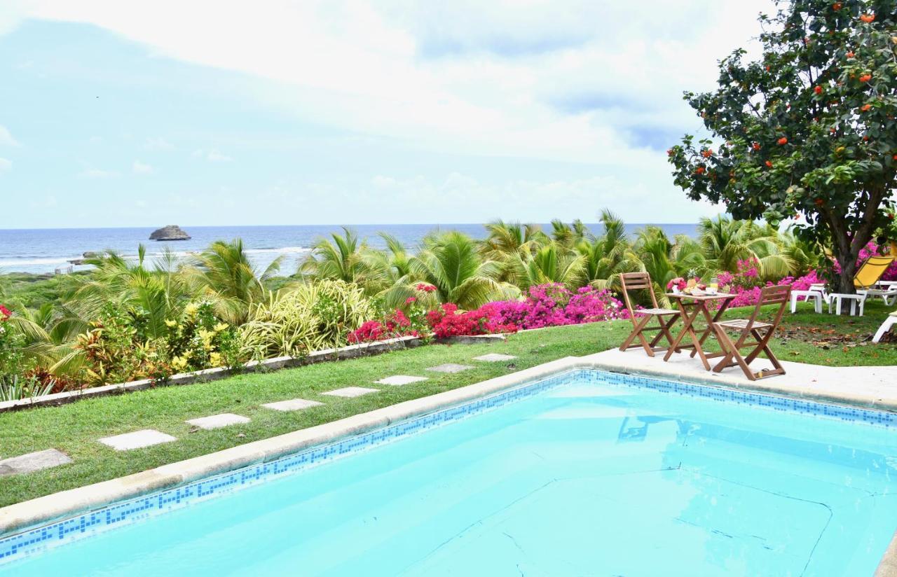 Guadeloupe Francois Acces Piscine Iguana Bay - Zagadi