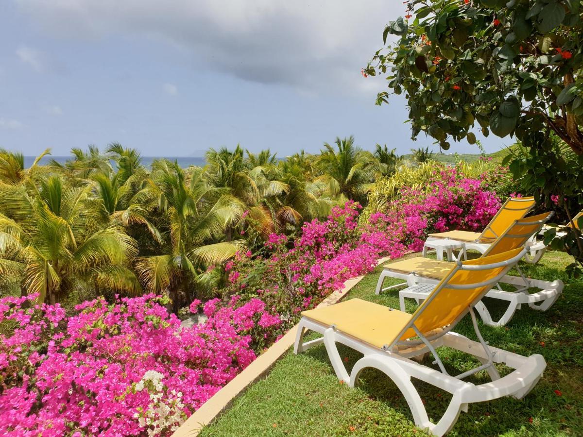 Guadeloupe Francois Acces Piscine Iguana Bay - Zagadi * Saint-Francois (Grande-Terre)