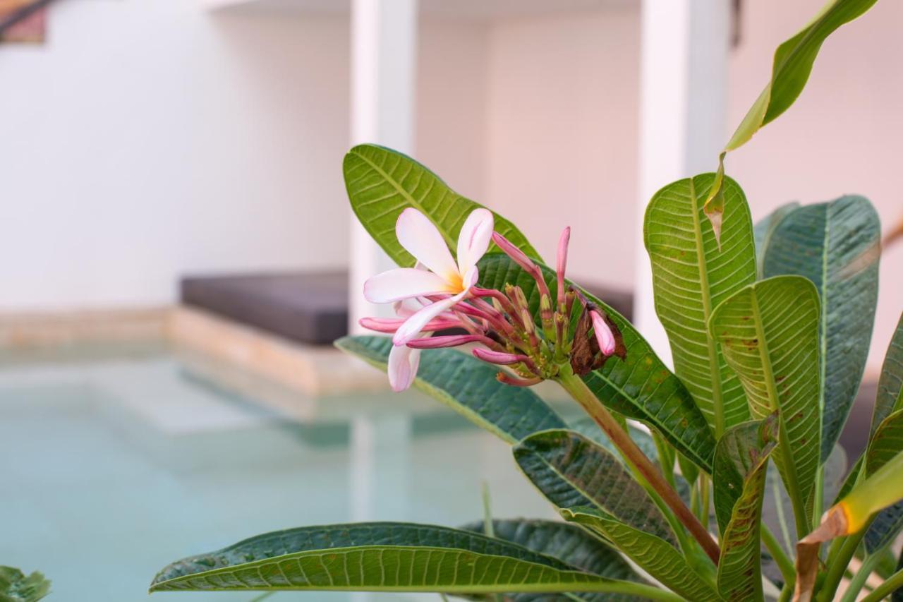 Hotel Boho Bohemian Boutique