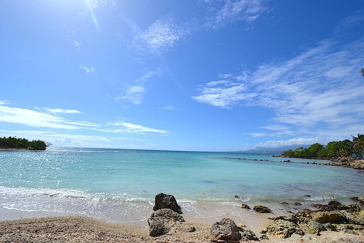 Althea Apartment Le Gosier (Grande-Terre)