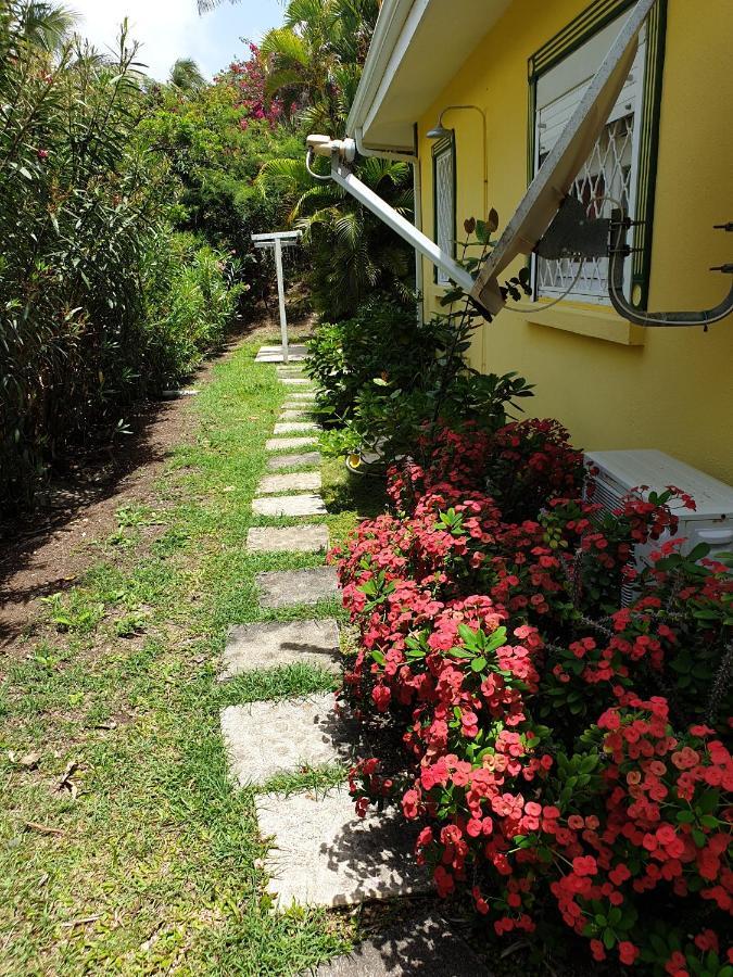 Villa Guadeloupe Francois Acces Piscine Iguana Bay - Zagadi Saint-Francois (Grande-Terre)
