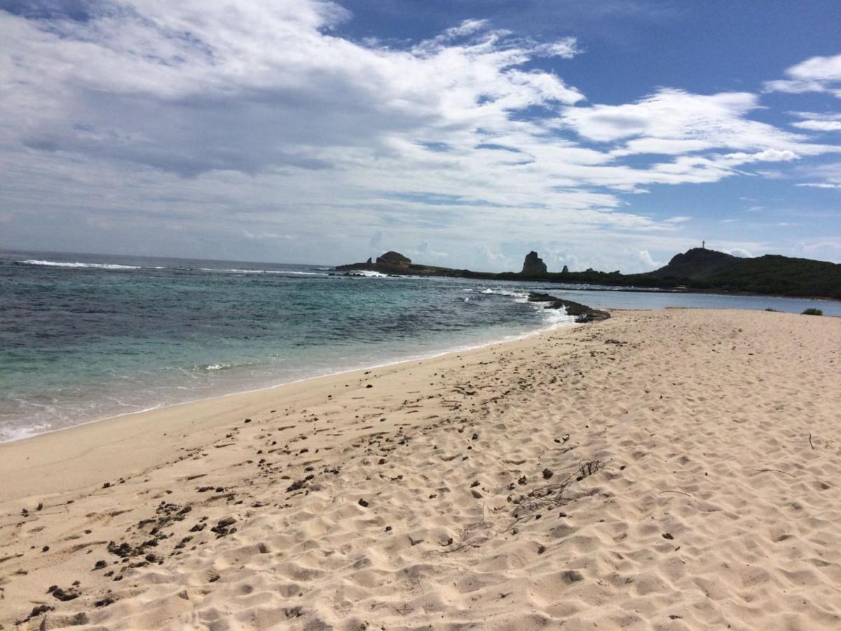 Guadeloupe Francois Acces Piscine Iguana Bay - Zagadi Villa