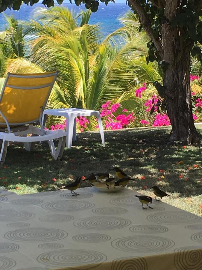 Villa Guadeloupe Francois Acces Piscine Iguana Bay - Zagadi Saint-Francois (Grande-Terre)