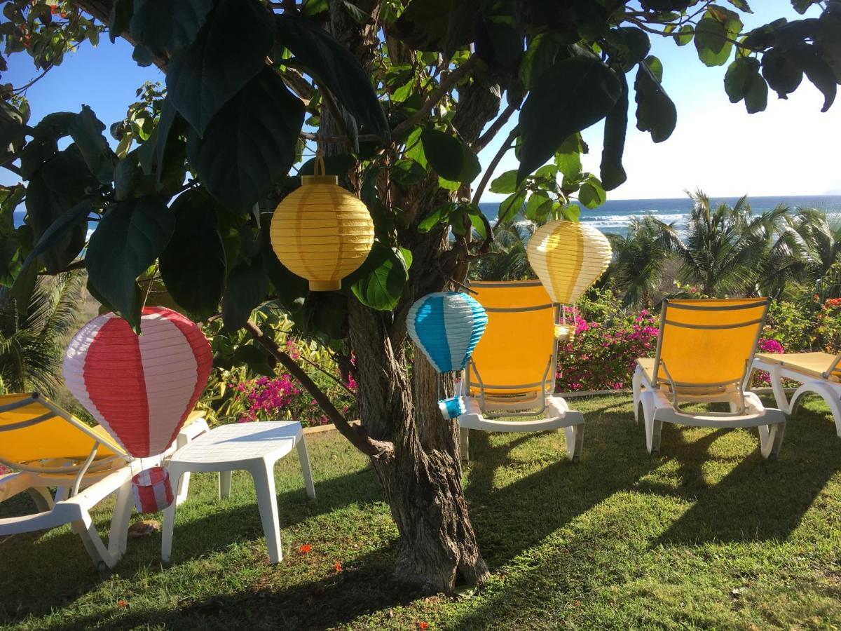 Guadeloupe Francois Acces Piscine Iguana Bay - Zagadi *