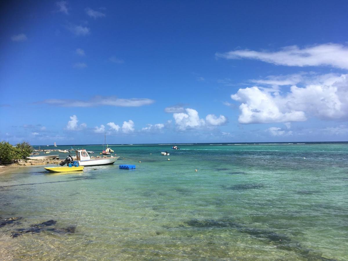 Guadeloupe Francois Acces Piscine Iguana Bay - Zagadi * Saint-Francois (Grande-Terre)