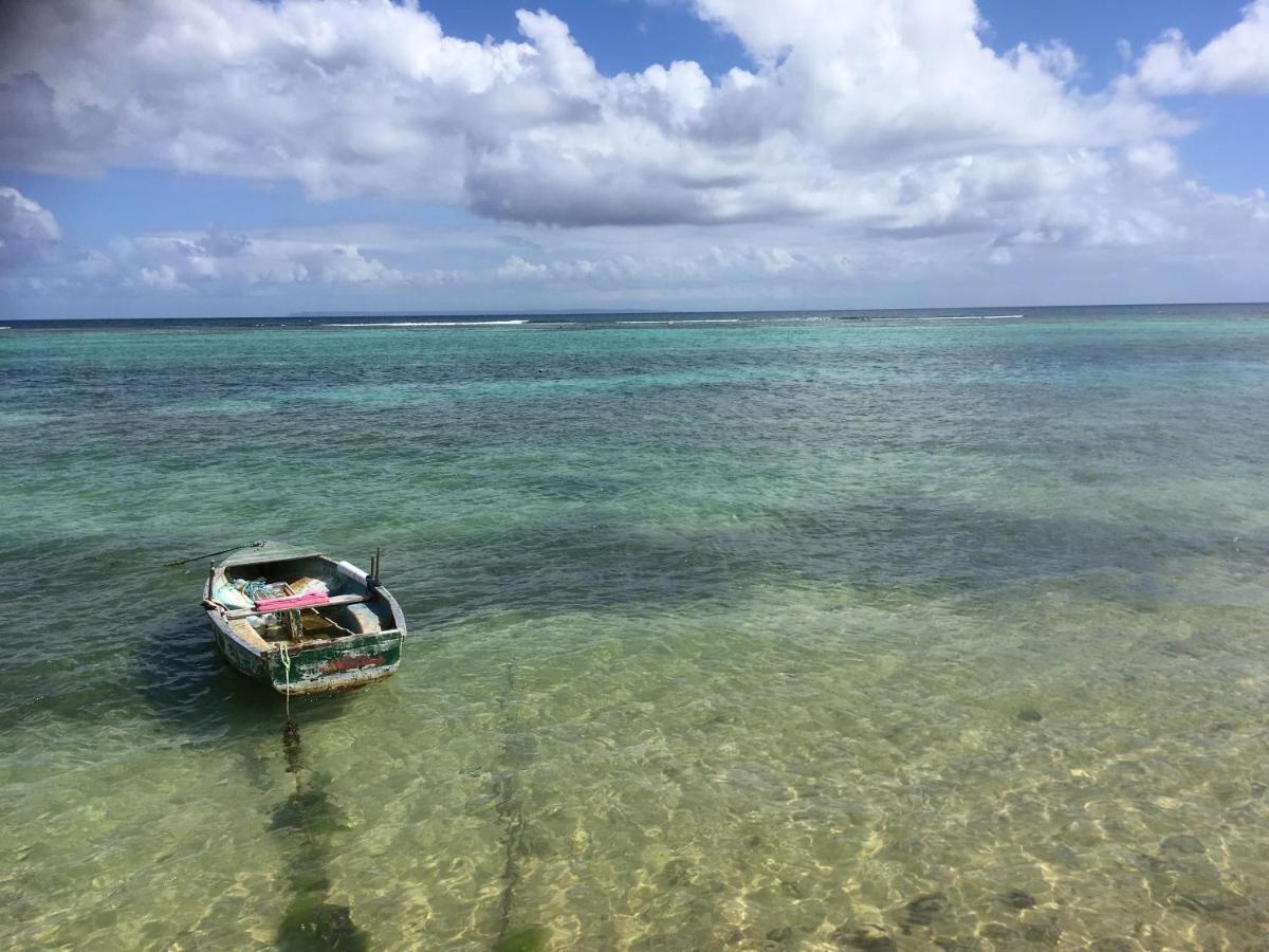 Guadeloupe Francois Acces Piscine Iguana Bay - Zagadi Villa