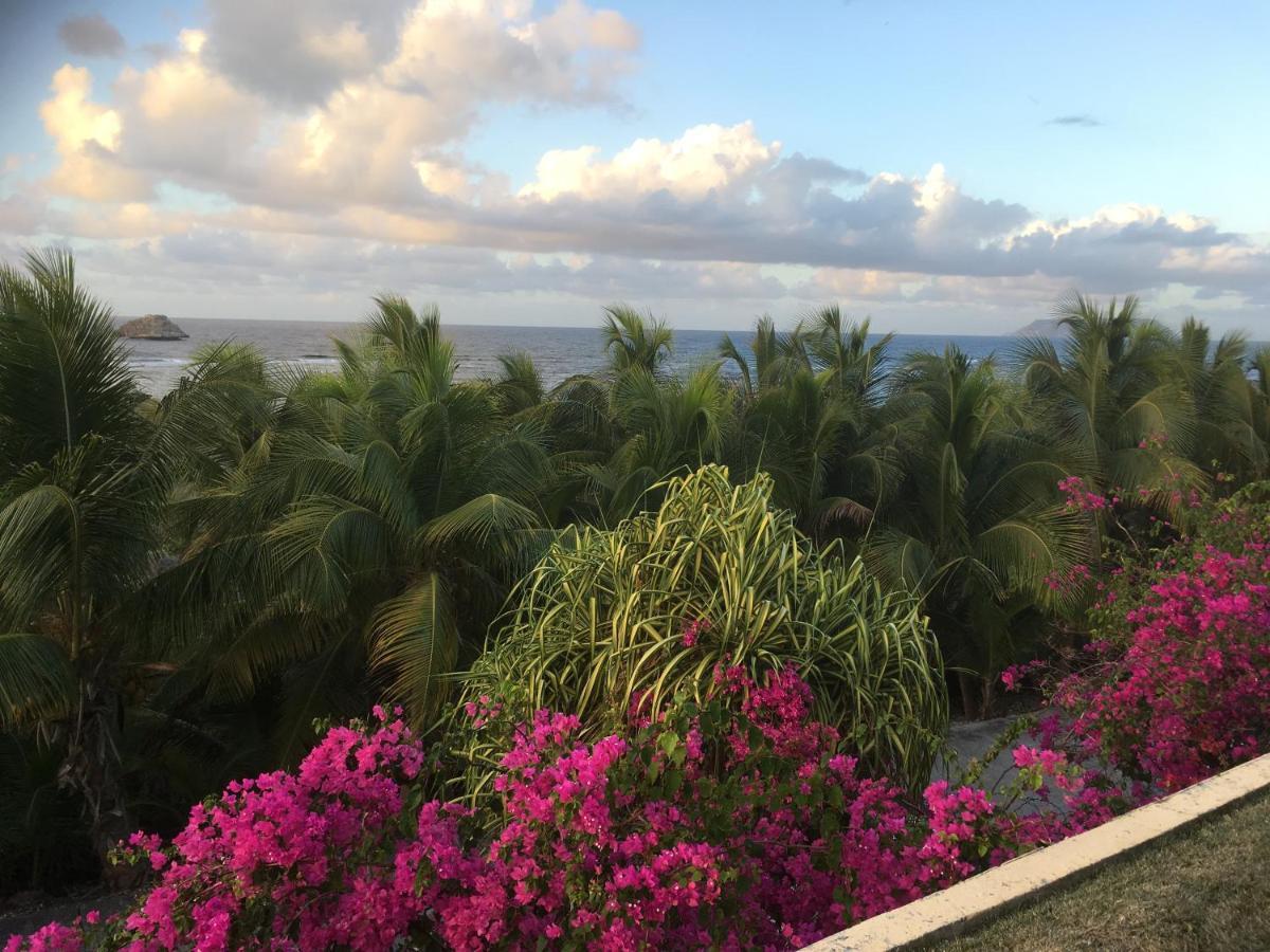 Guadeloupe Francois Acces Piscine Iguana Bay - Zagadi
