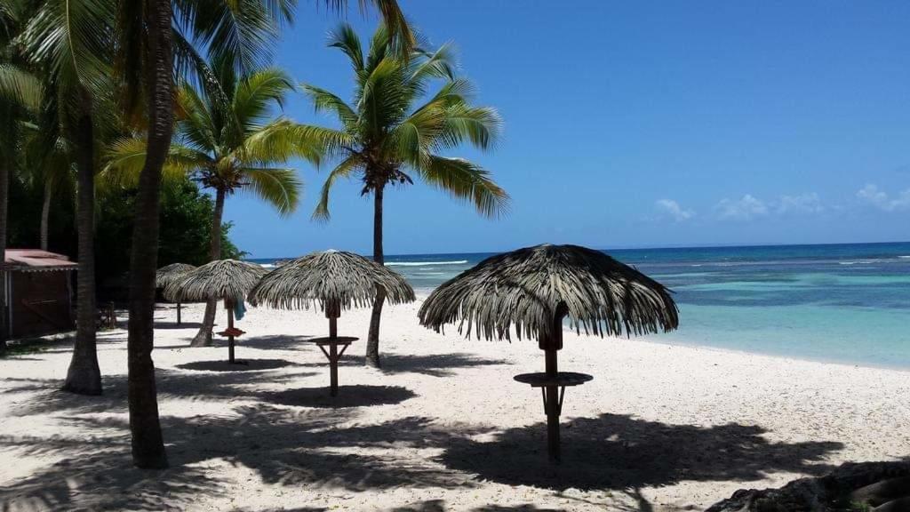 Petit Paradis Apartment Saint-Francois (Grande-Terre)