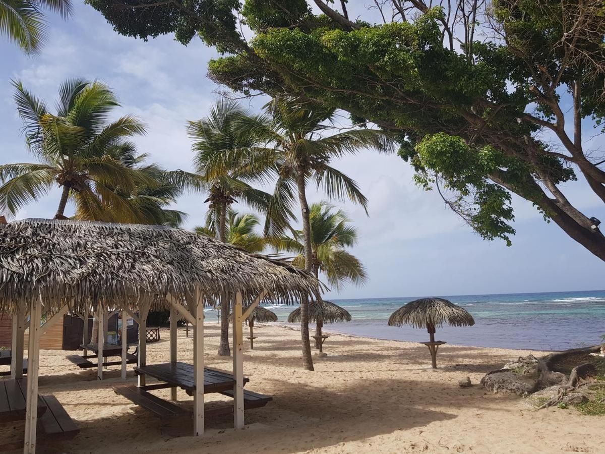 Petit Paradis *