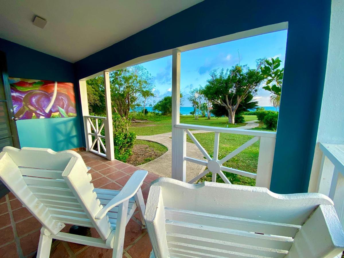 Blue Horizon Boutique (adults Only)