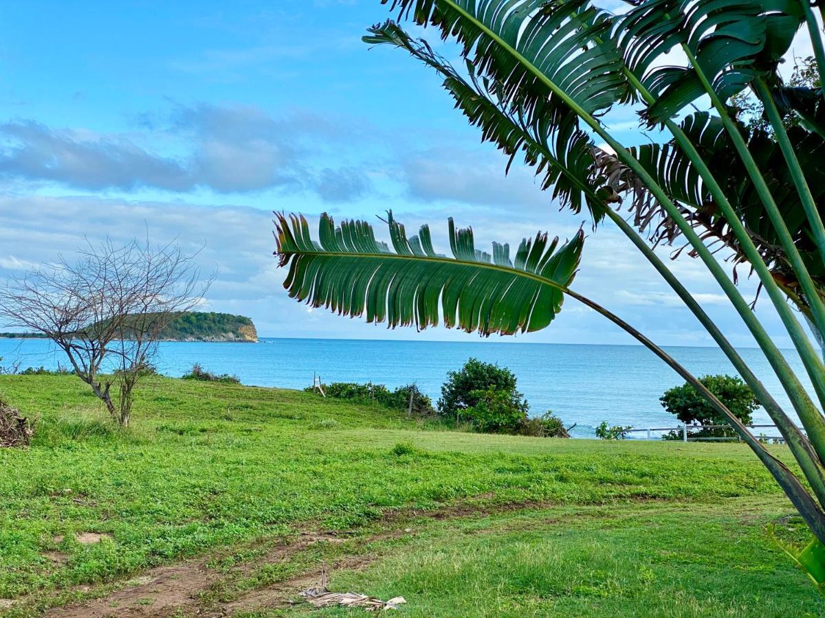 Blue Horizon Boutique (adults Only) Hotel Vieques