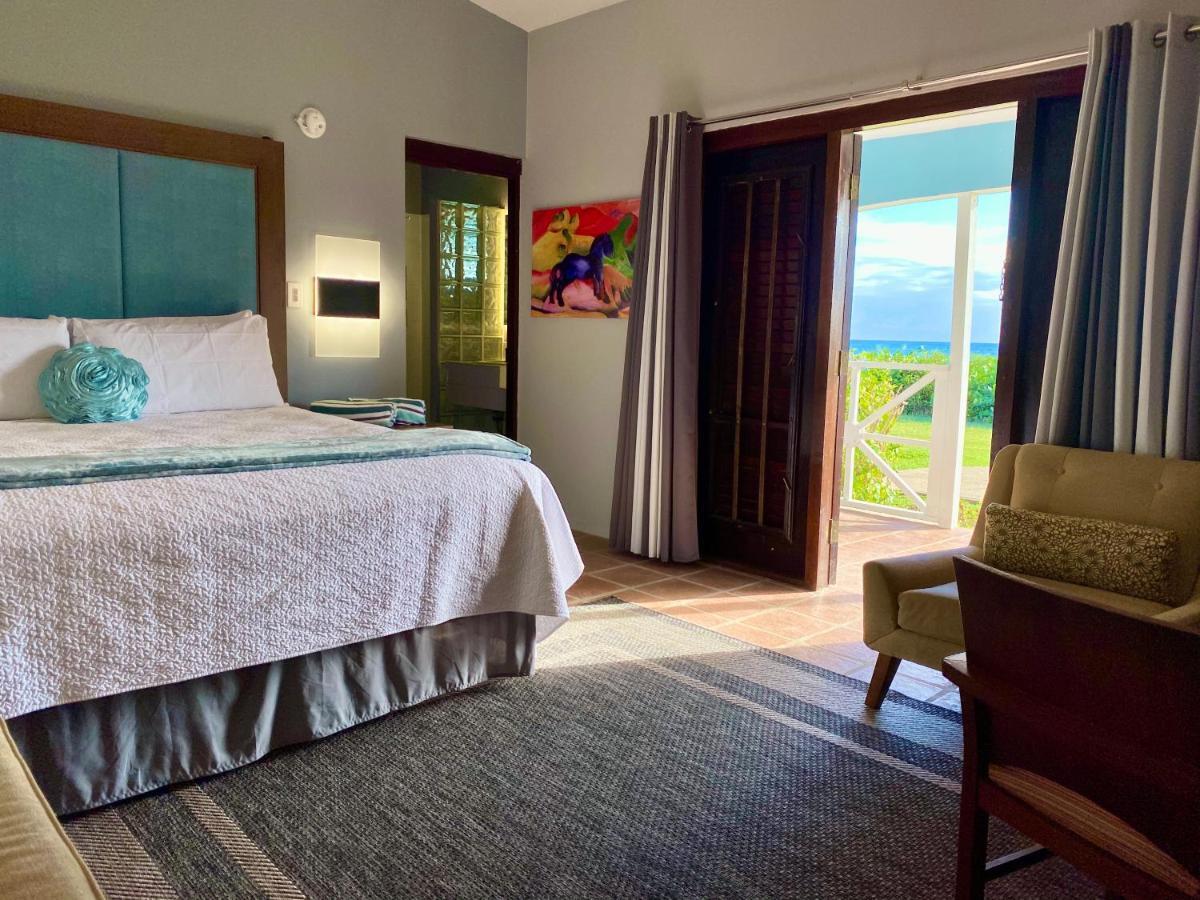 Blue Horizon Boutique (adults Only) 4* Vieques