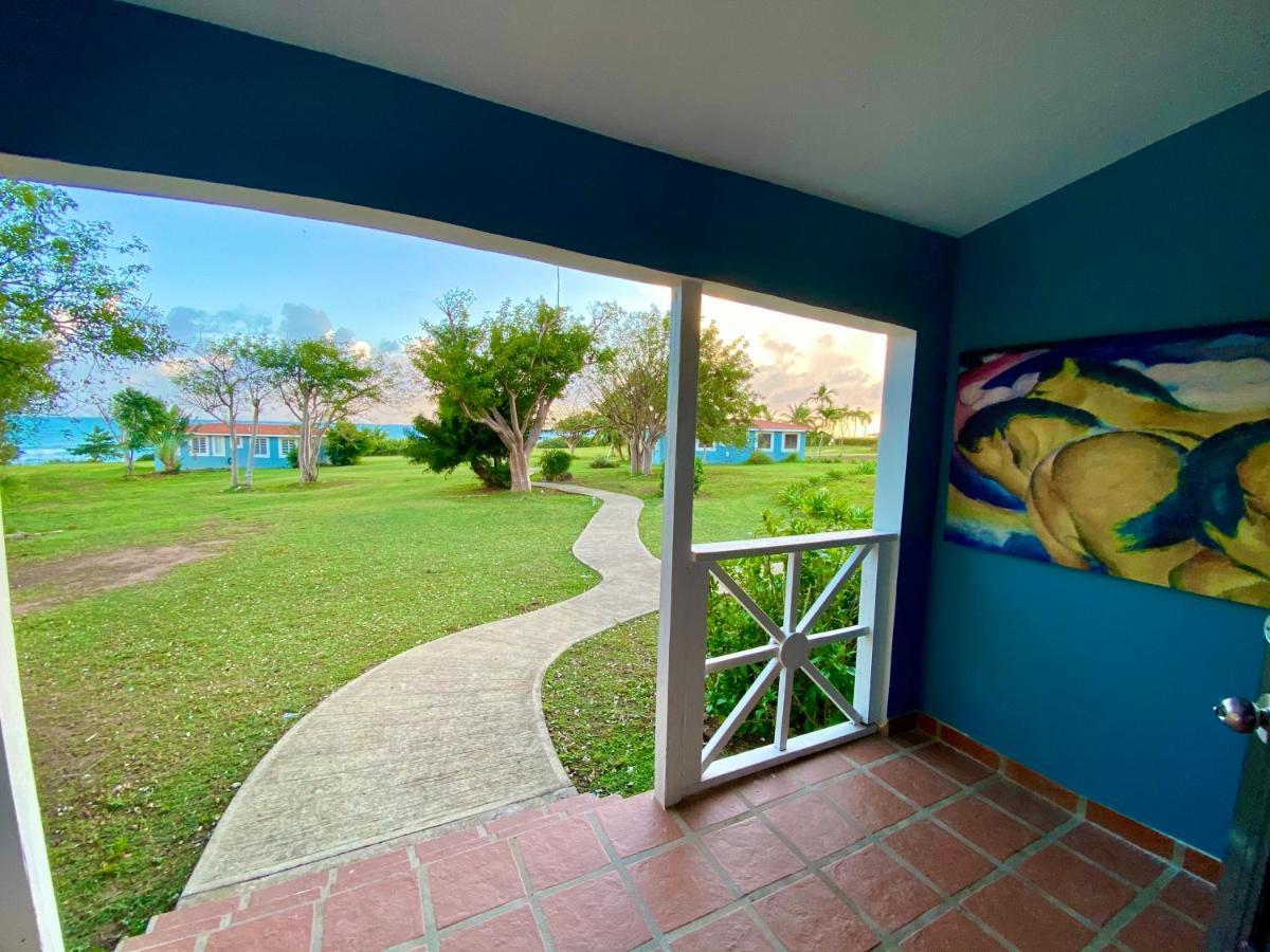 Blue Horizon Boutique (adults Only) 4*