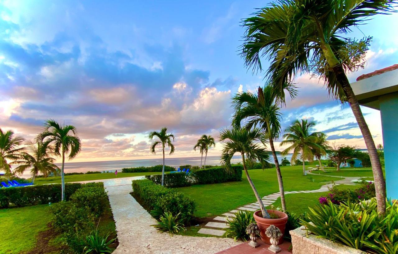Blue Horizon Boutique (adults Only) 4* Vieques