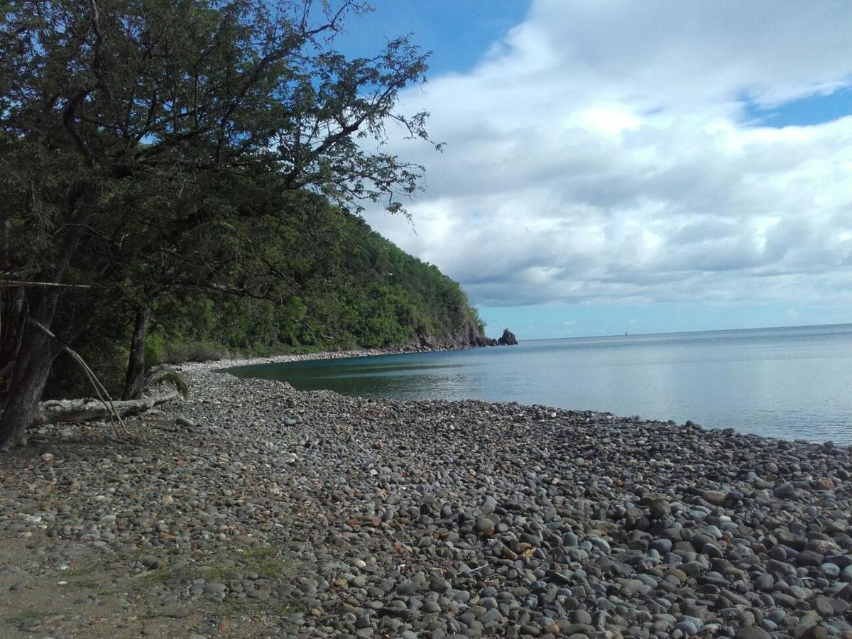 Papaye Pointe-Noire