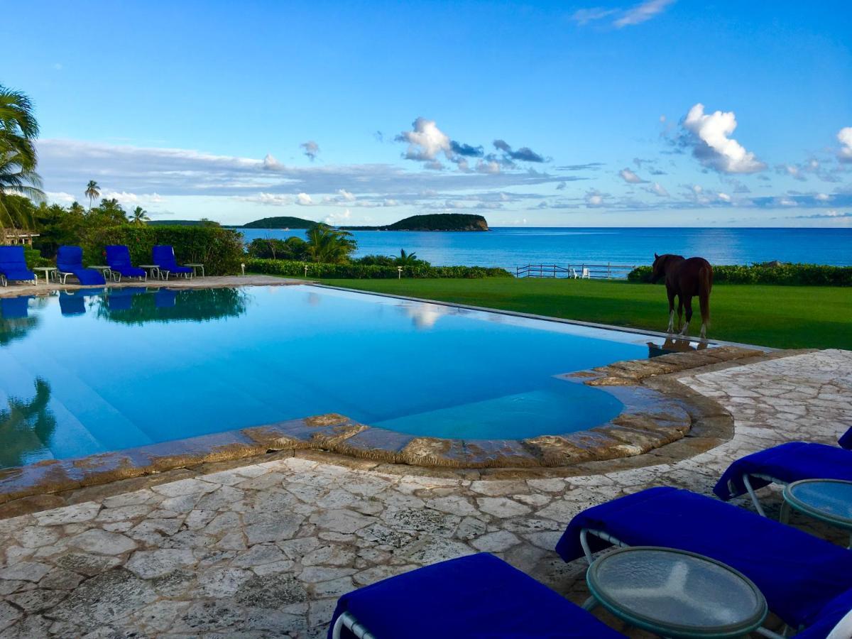 Blue Horizon Boutique (adults Only) Hotel 4*