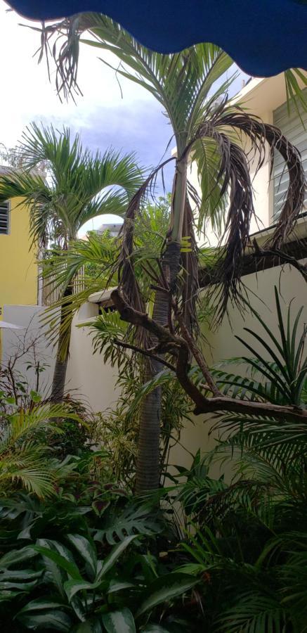 Andalucia Guest house