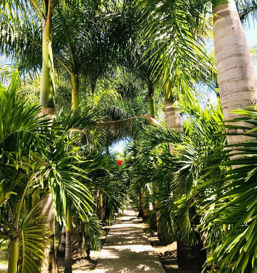 Le Village De La Pointe Campo de férias
