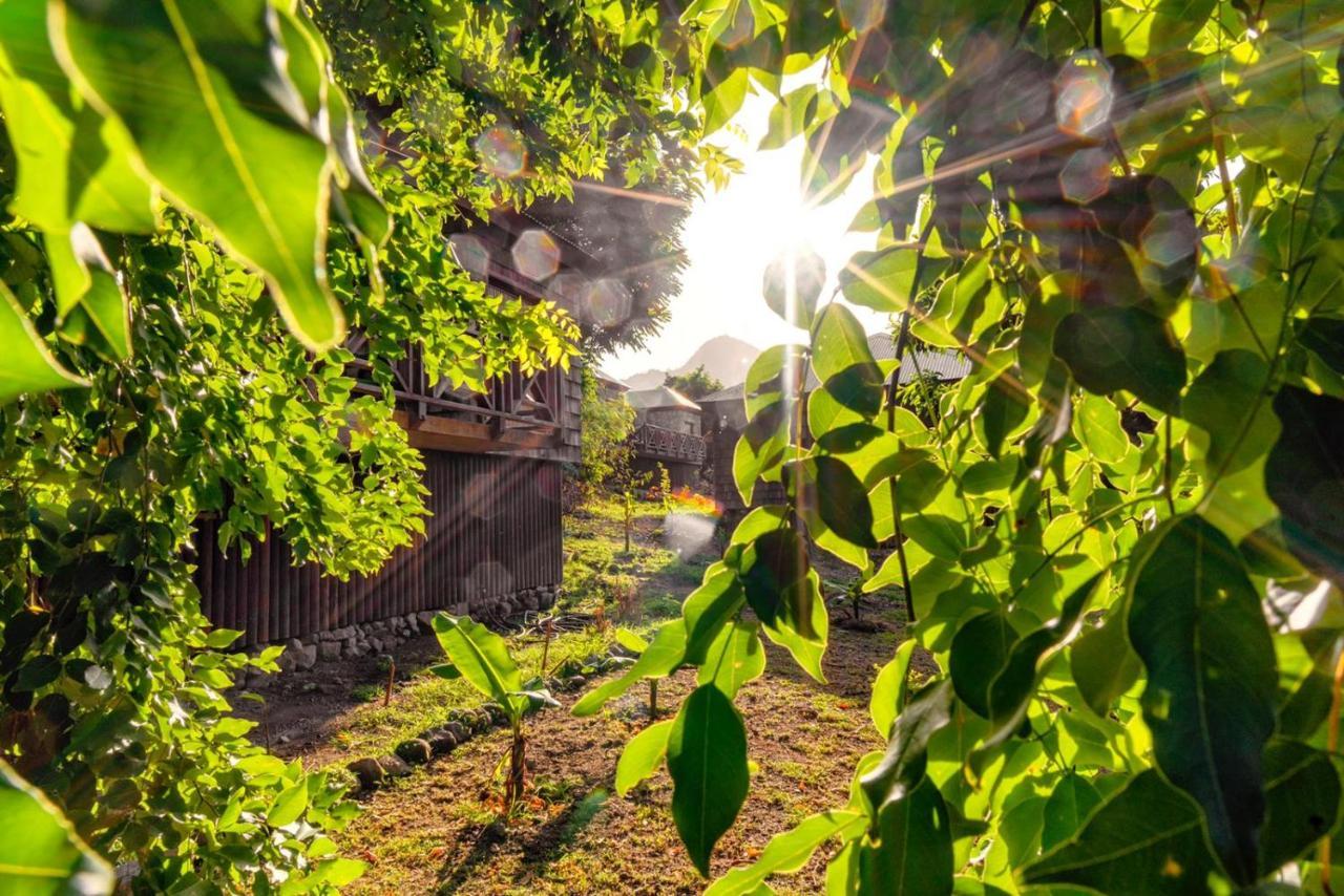 Resort Jungle Bay Dominica *