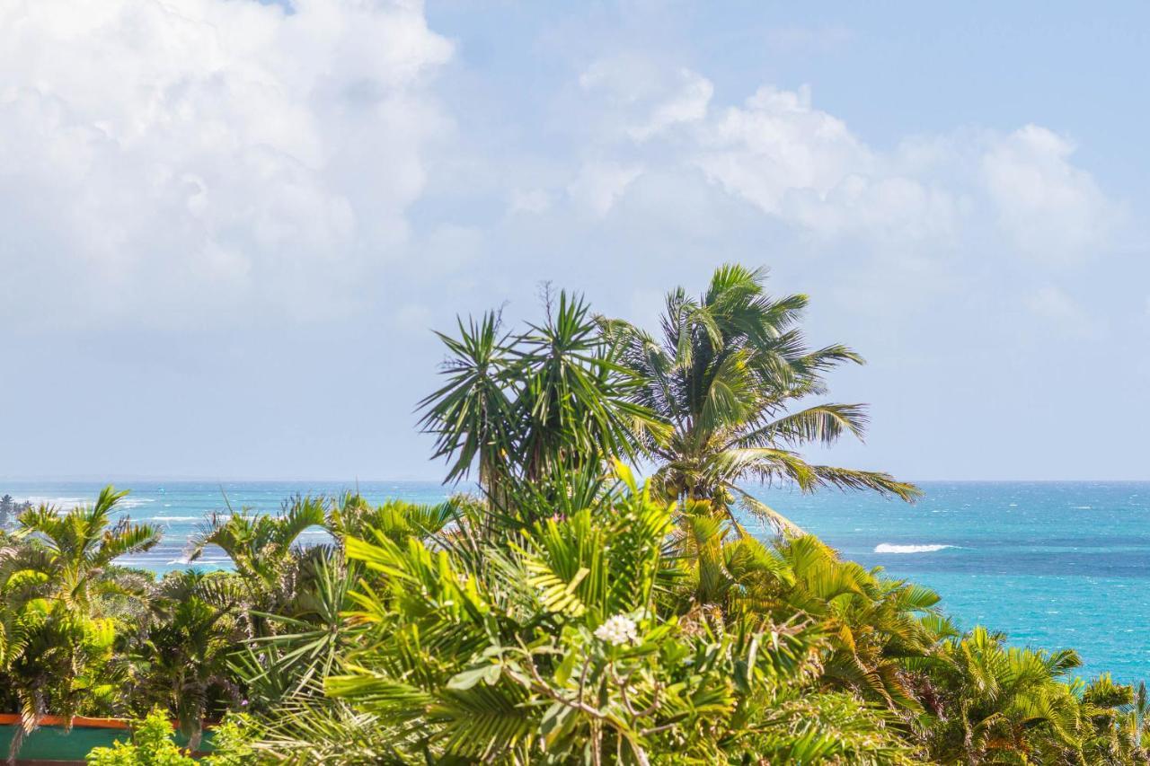 Iguane House & Micro Villa