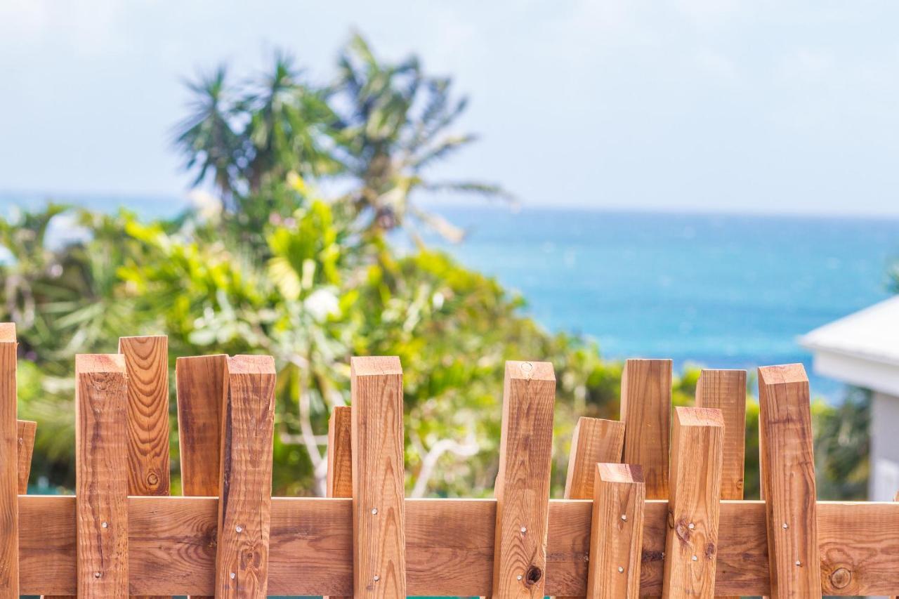 Villa Iguane House & Micro