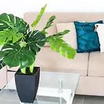 Blue Vista - 1 Bedroom Condo In Nettle Bay