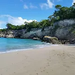 The Palace At Playa Grande