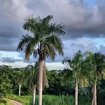 Tierra Adentro Bed And Breakfast