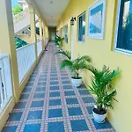 Spring Palm Estate