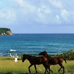 Blue Horizon Boutique Resort (Adults Only)