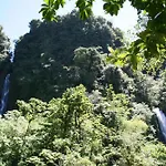 Natty Tropical Valley