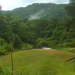 Natty Tropical Valley