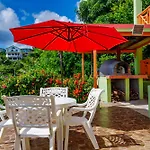 Tropical Paradise View