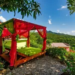 Tropical Paradise View