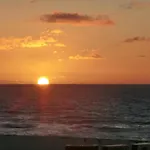 Oyster Bay Beach Resort