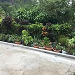 Anthurium Apartment