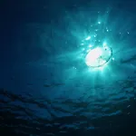 Bohio Dive Resort