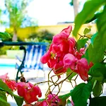 Golden Sands Hotel