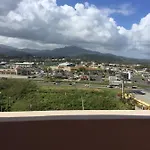 Dolphin Tower Apartment