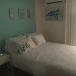 Island Life Vacation Rental