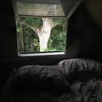 Tony\'S Offgrid Cabin Getaway