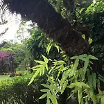 Hotel Rancho Olivier