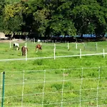 La Ferme Des Etangs