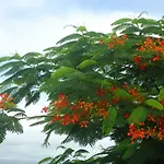Ecolokay