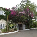 Mangos Jamaica Adults Only