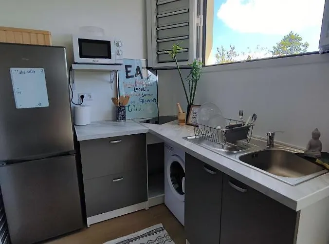 Joli T2 Renove Et Calme Quartier Desrochers A Fort De France